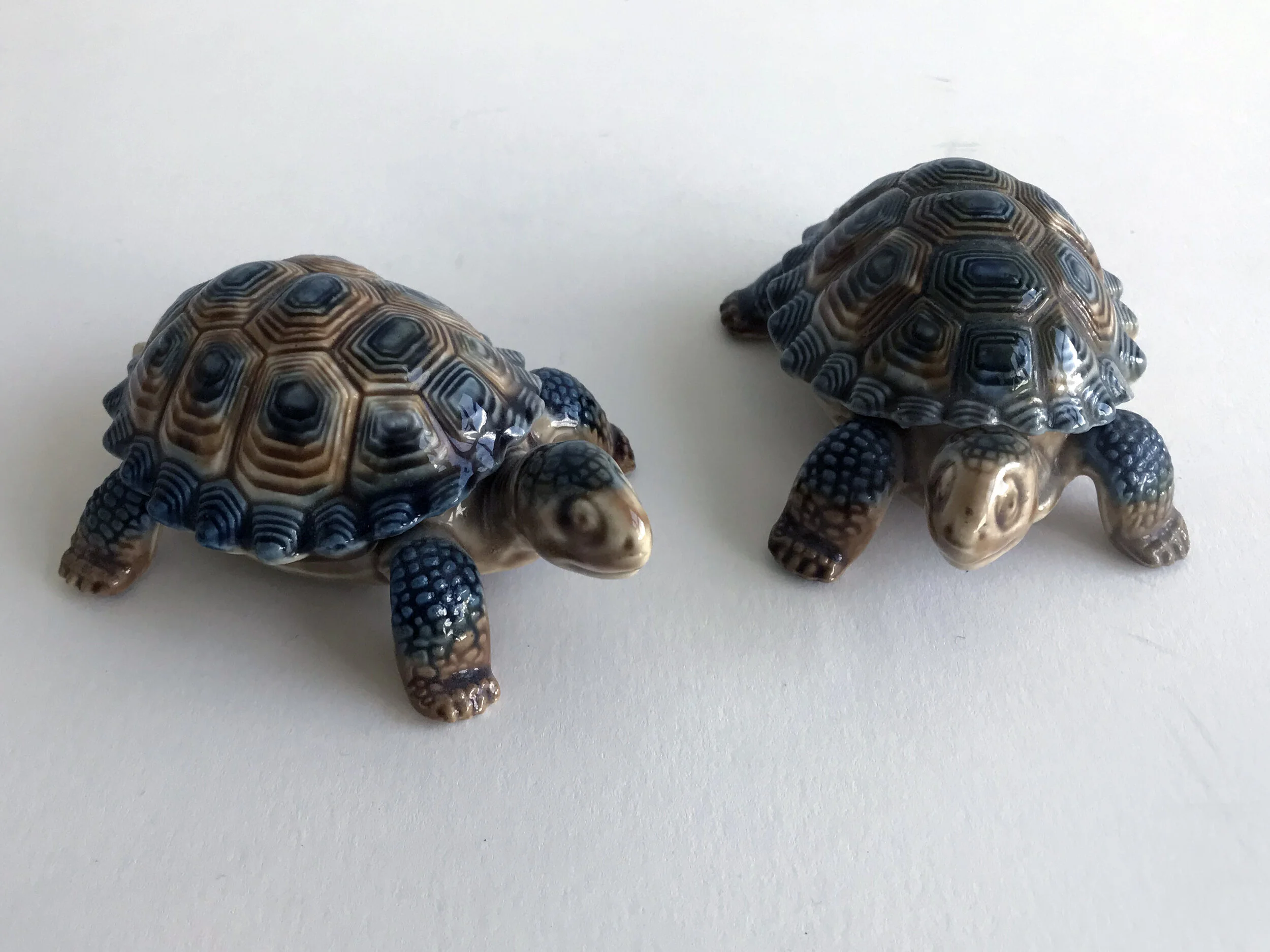 One turtle two turtes