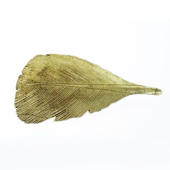 feather3 square small.jpg