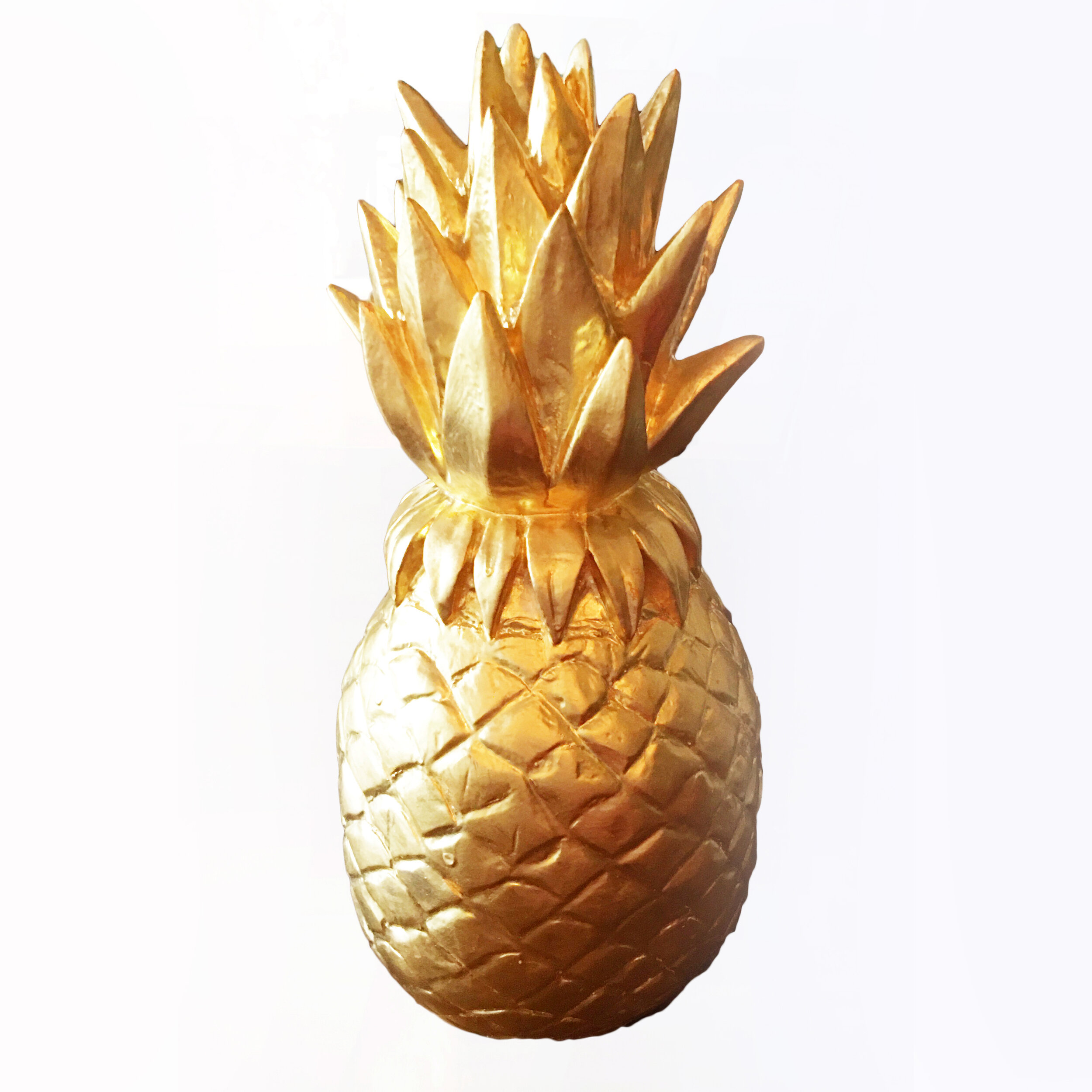 pineapple square small.jpg