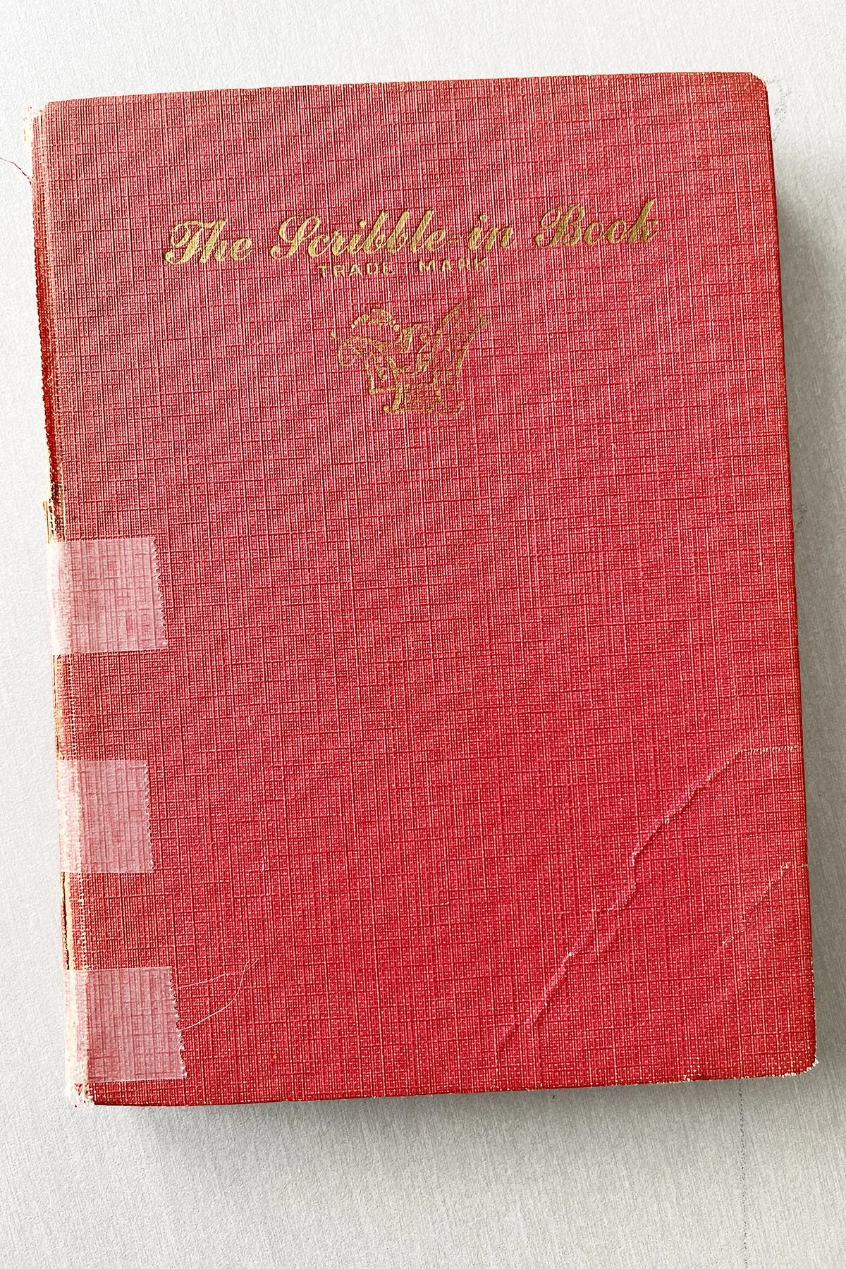 her scribble-in book