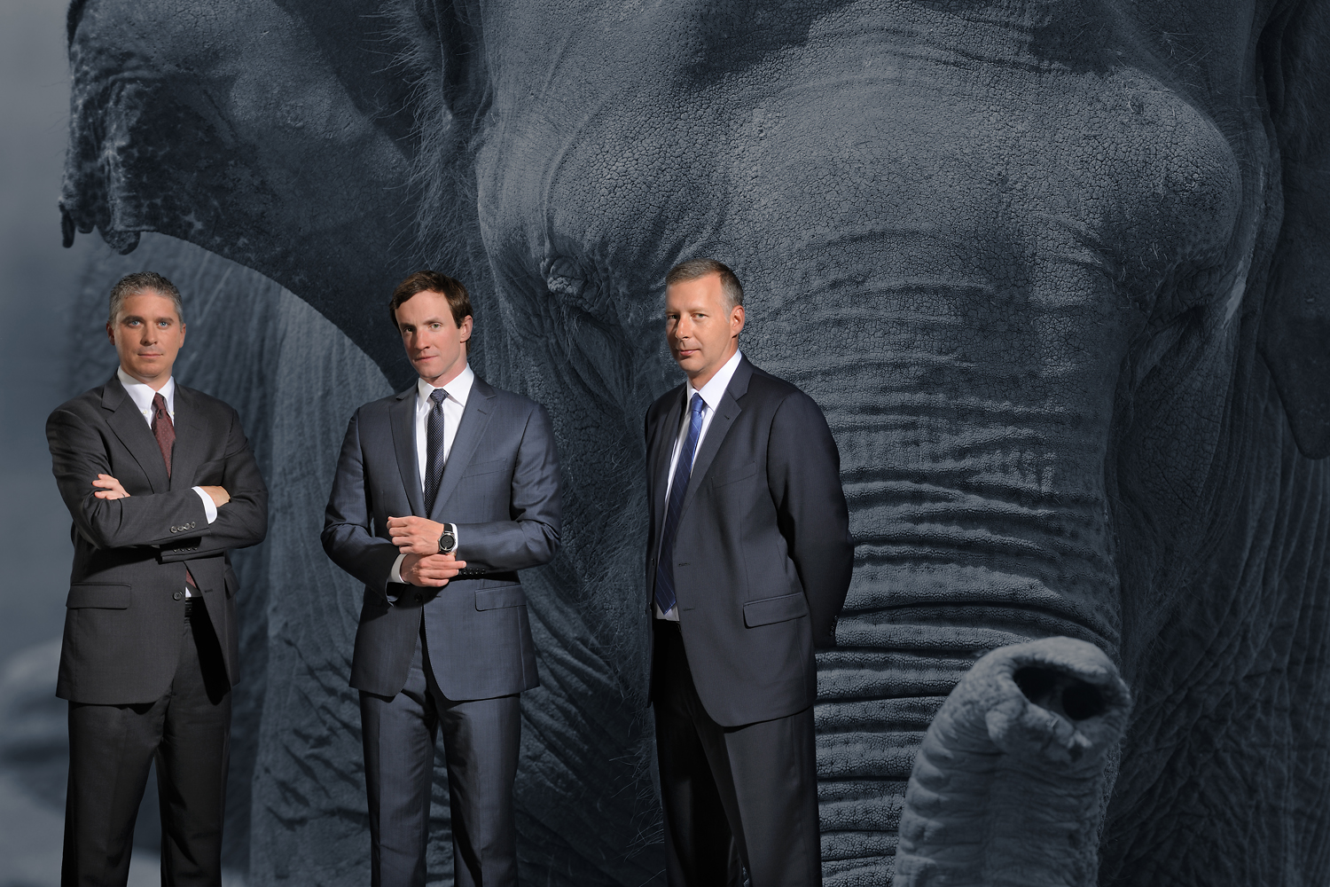   I got to spend an afternoon doing a portrait of an elephant - she was a very willing subject - the guys do&nbsp;serious Big Data  