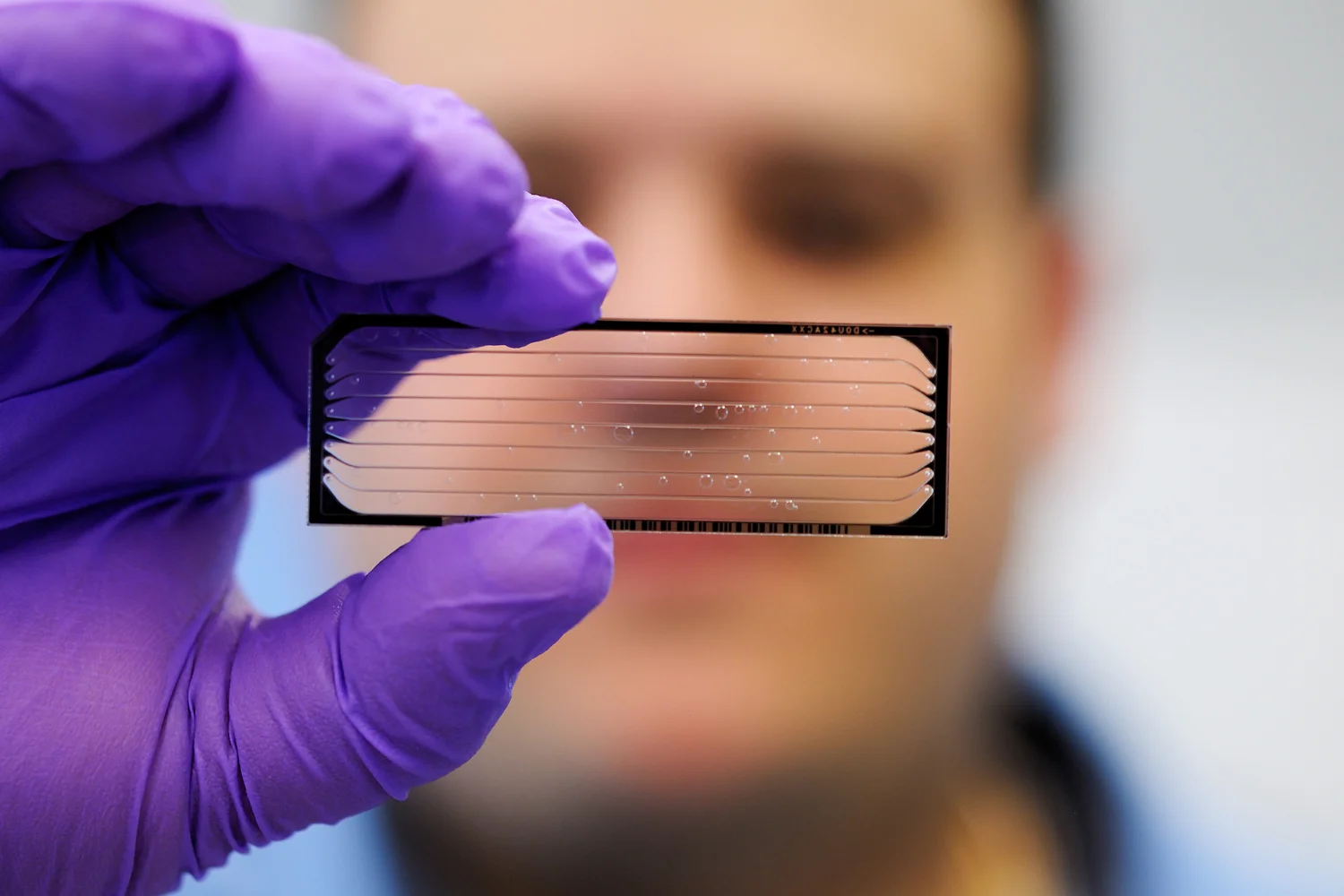 Show me the plate that goes into the sequencing machine