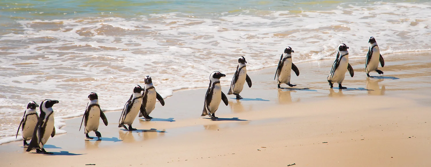 Western Cape, South Africa