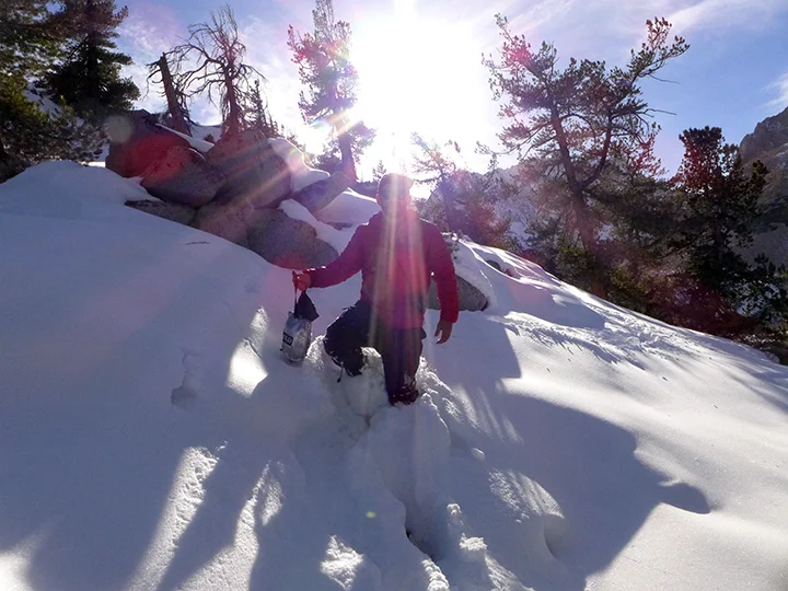 Fresh Tracks