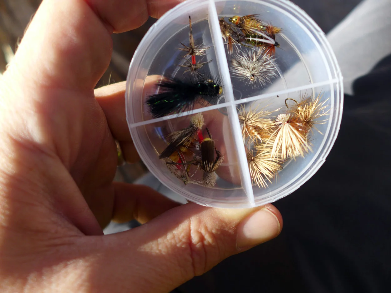9-Flies.jpg