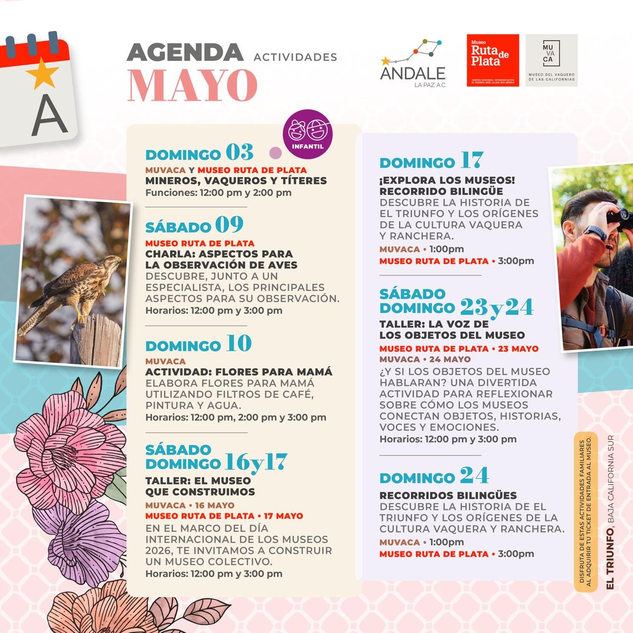 Calendario de actividades de Ándale La Paz para mayo de 2026.