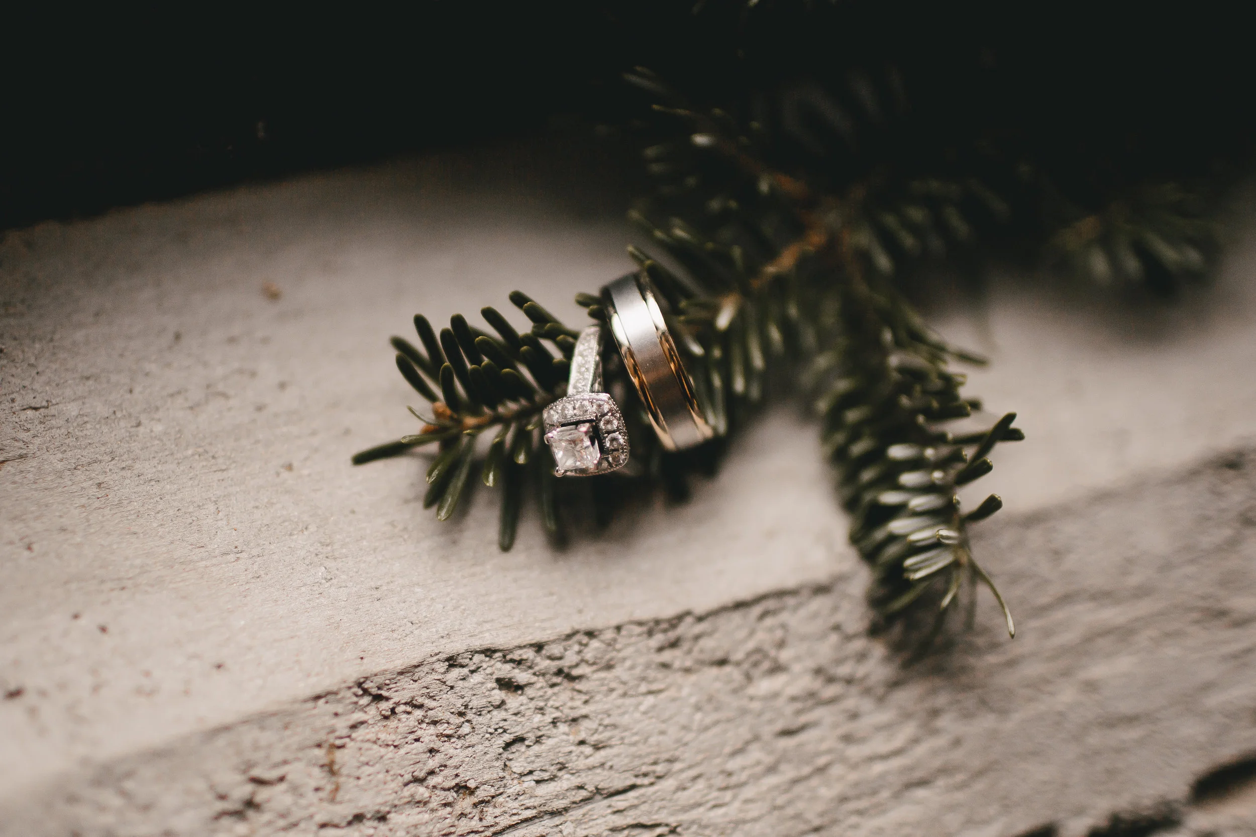 Carol+Teron-12.jpg