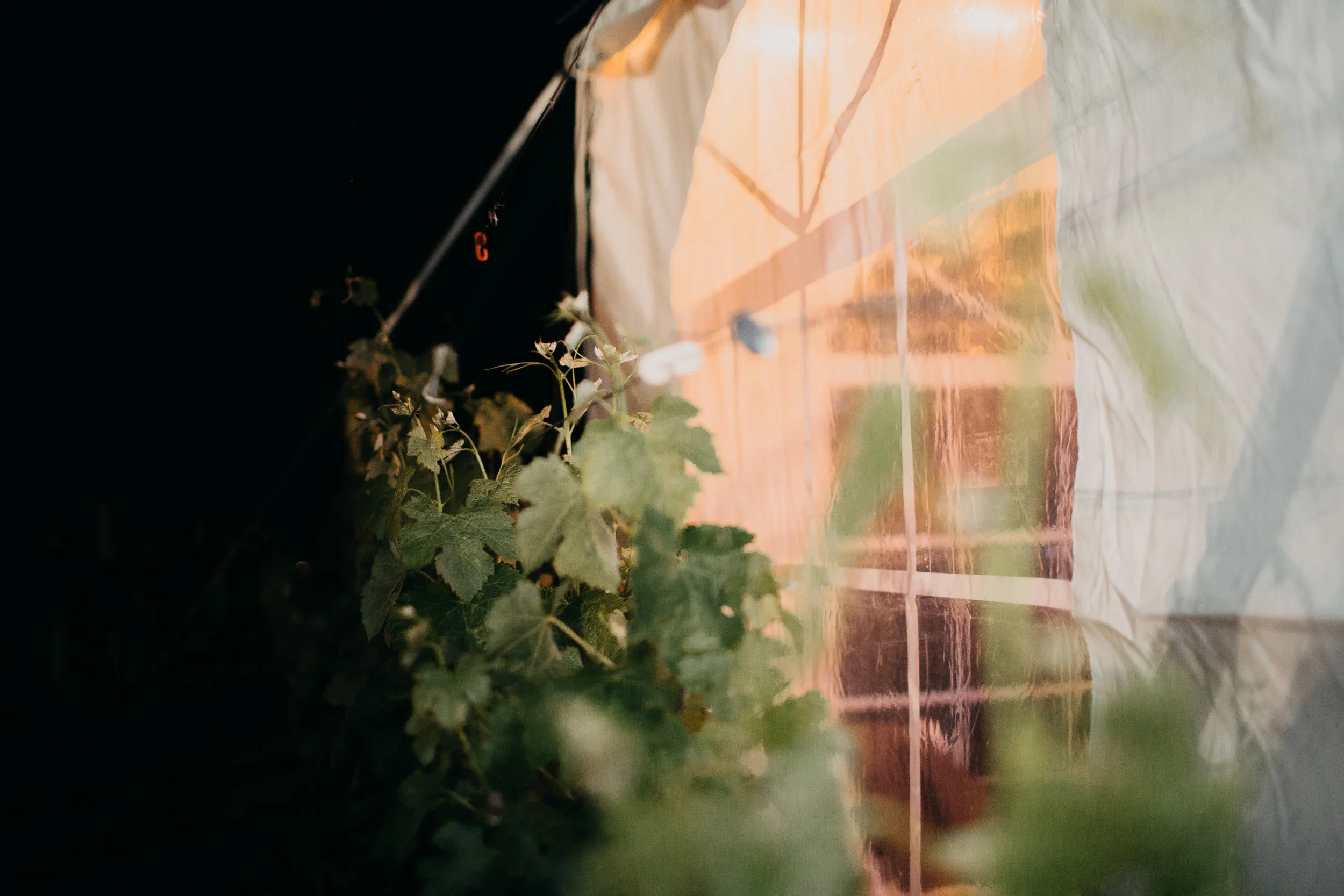 chelseaandchris_final-397.jpg