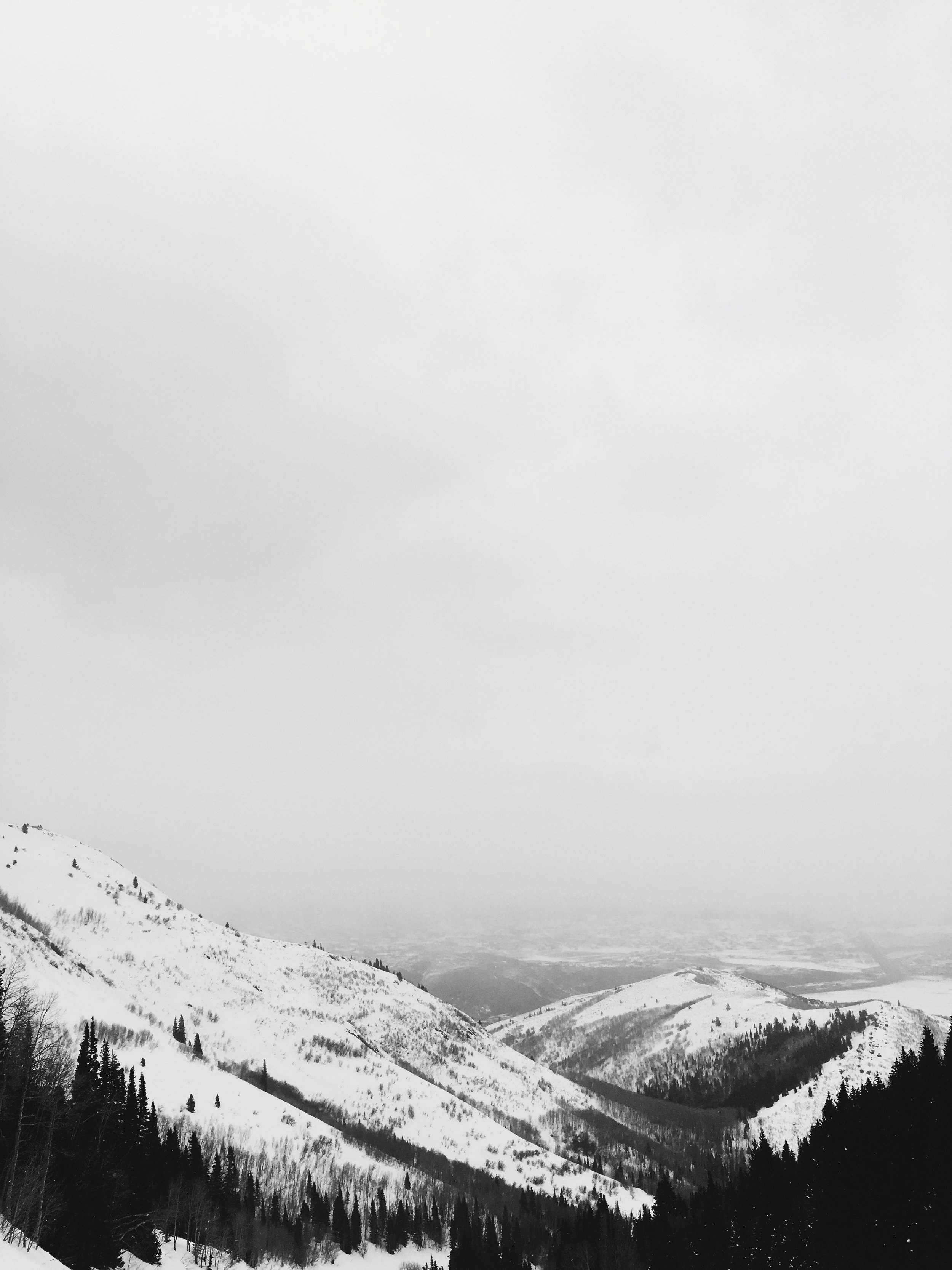 0803130A-ABDF-4C13-9A34-C94FBE7098B7.jpg