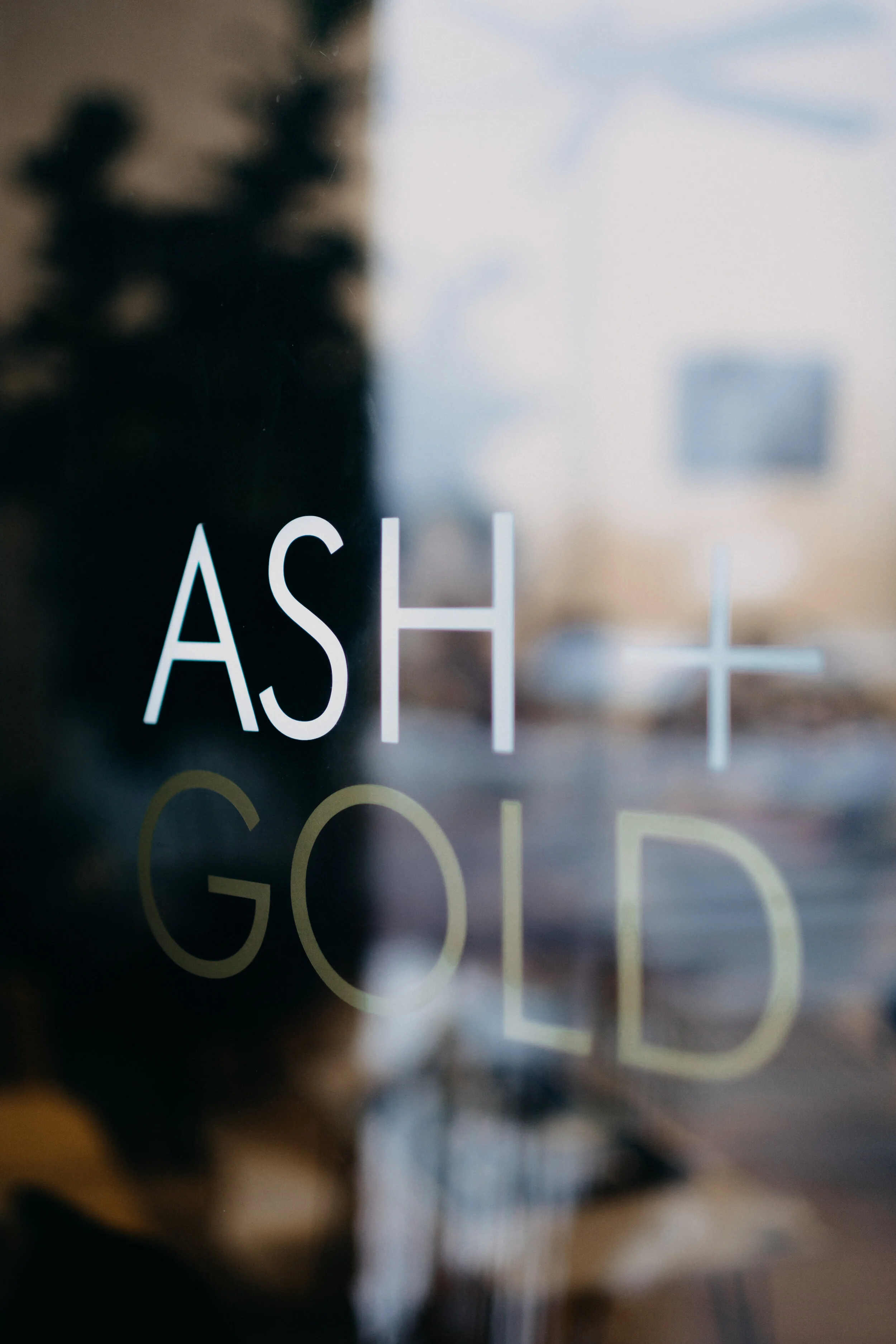 Ash and Gold | Burlington Vermont Hair Studio