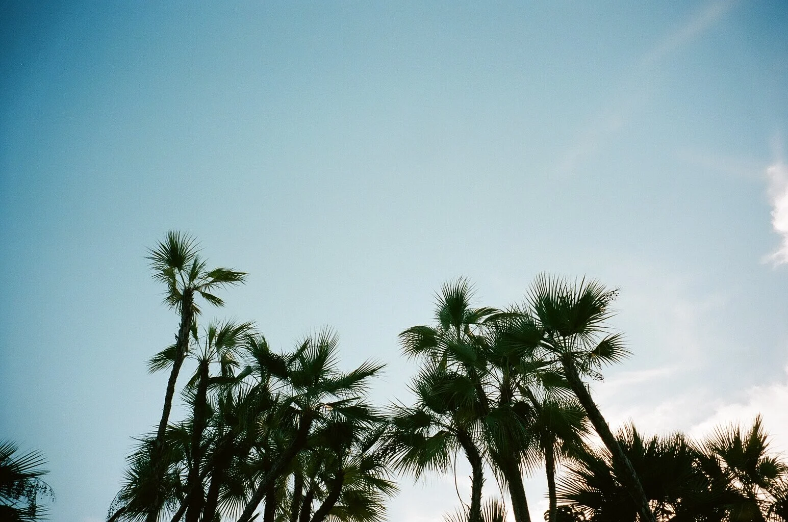 Lifestyle | Belize Film 