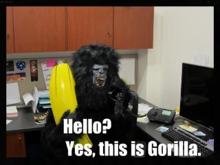 businessgorilla.jpg
