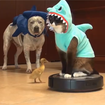 We're gonna need a bigger boat.