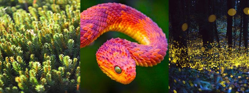 Changing Colors: Where do we start?