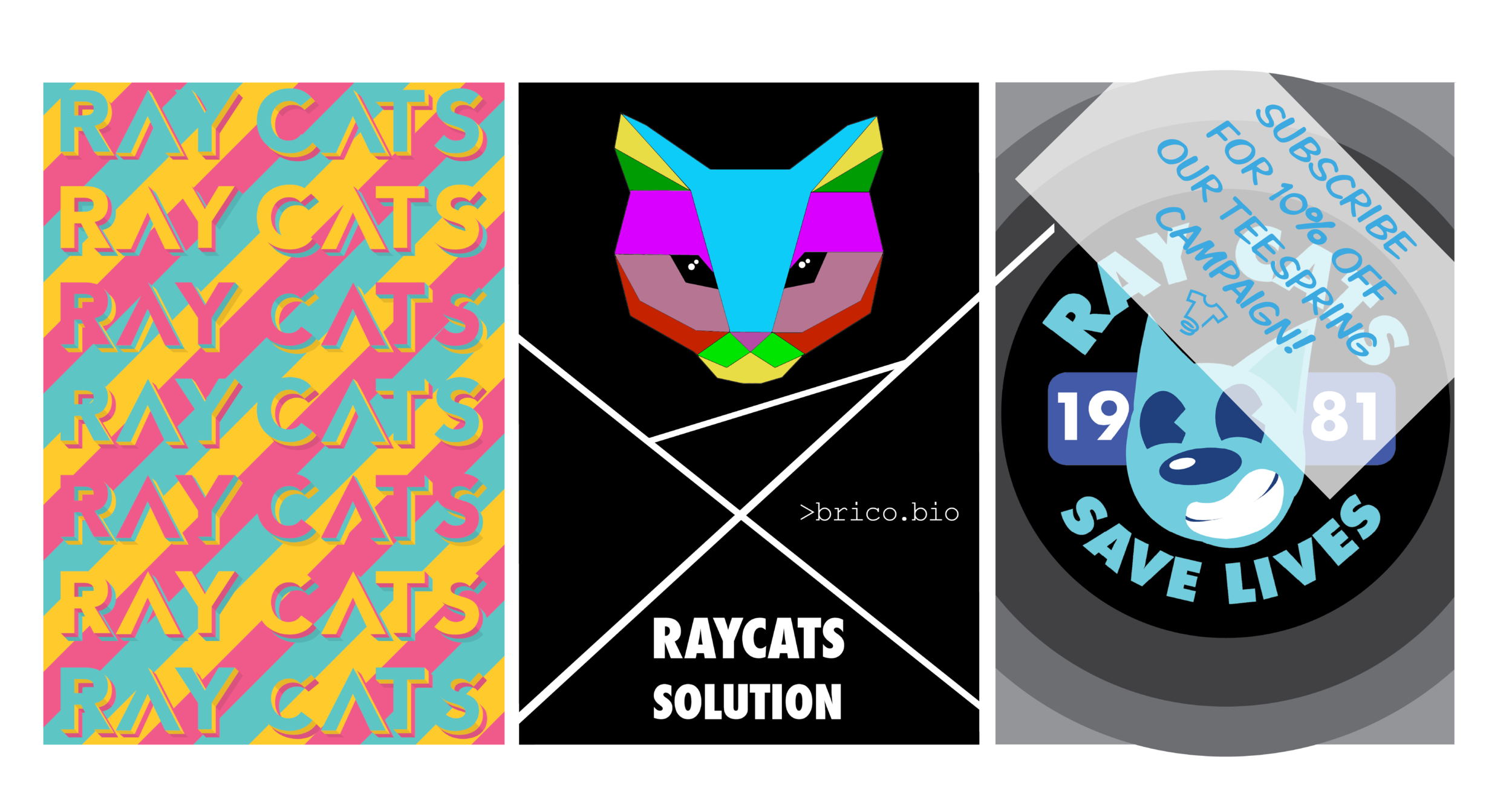 The Raycat Campaign Launch!