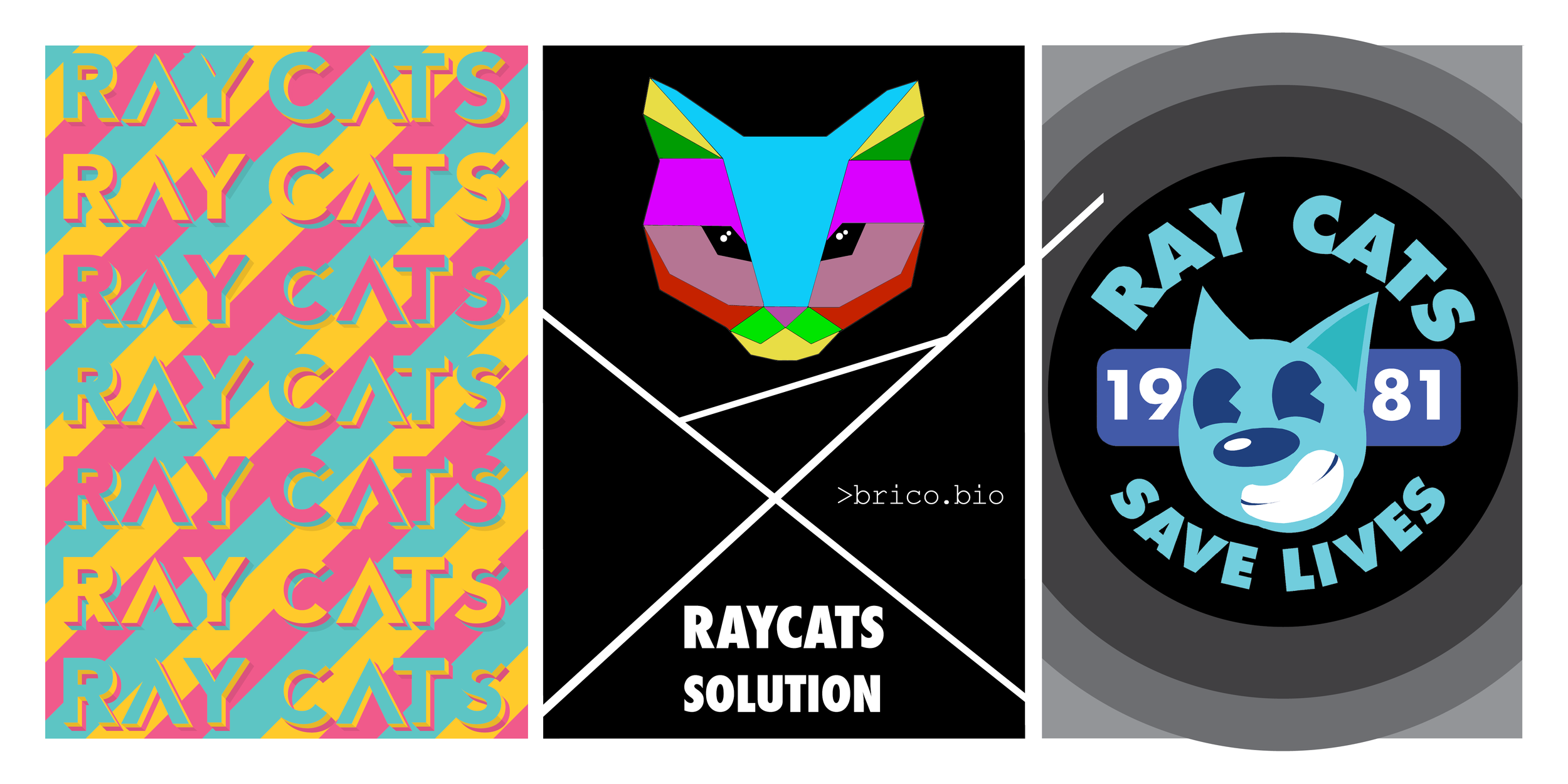 ALL_RayCat_Website.png