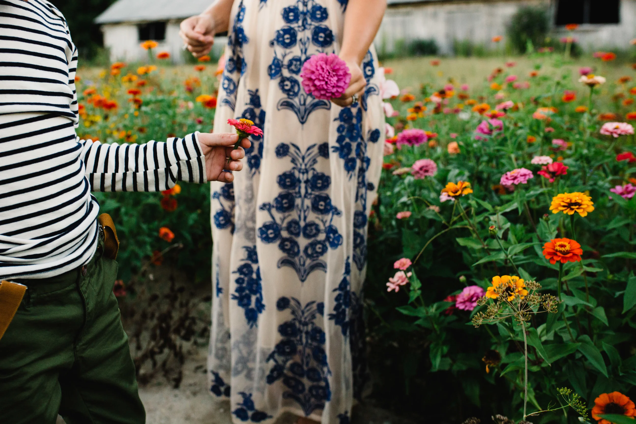 Wiffle Ball, Flowers + A Bronco | East End, Long Island