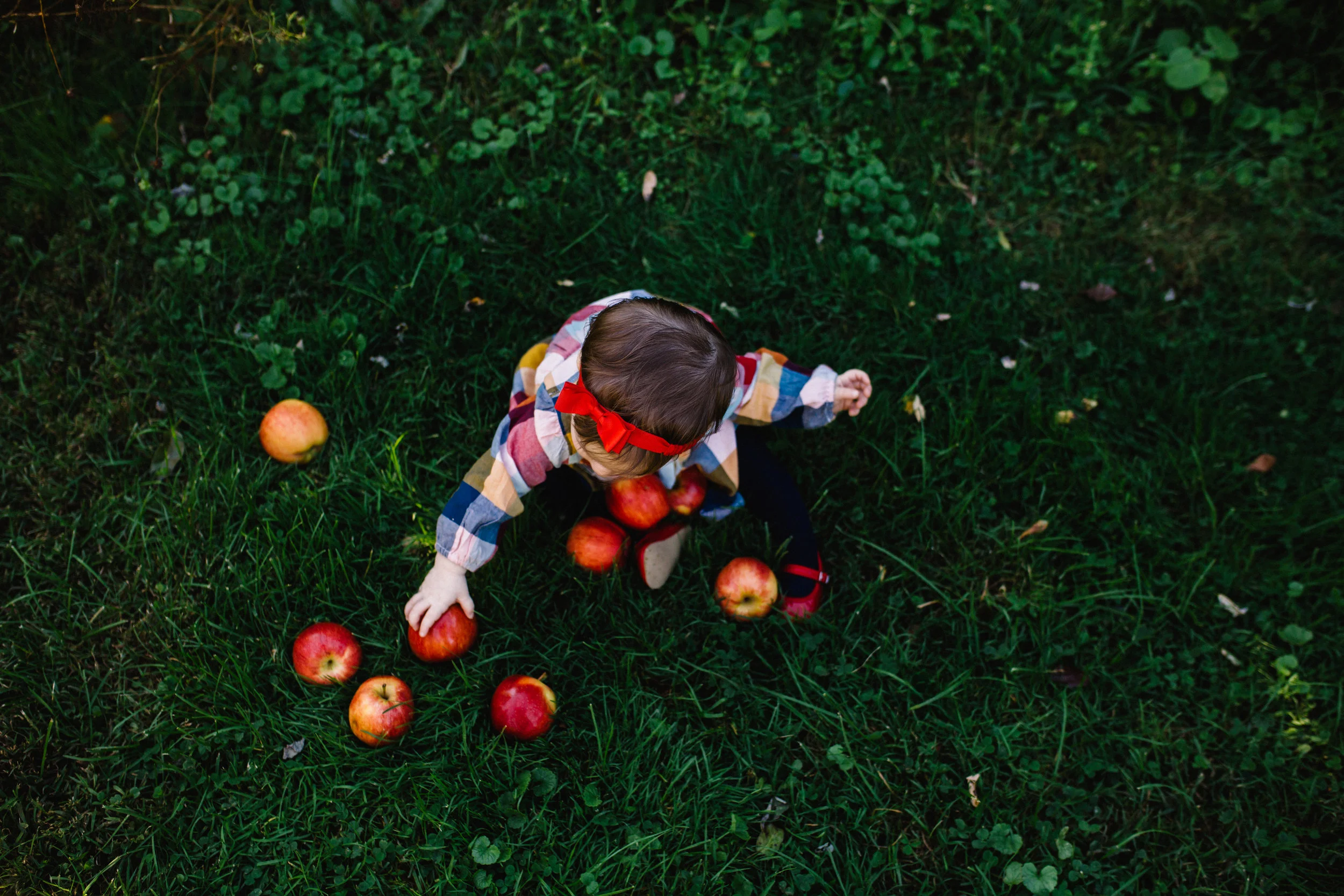 apple+harvest+photo+sessions+|©+Jennifer+Tippett.jpeg
