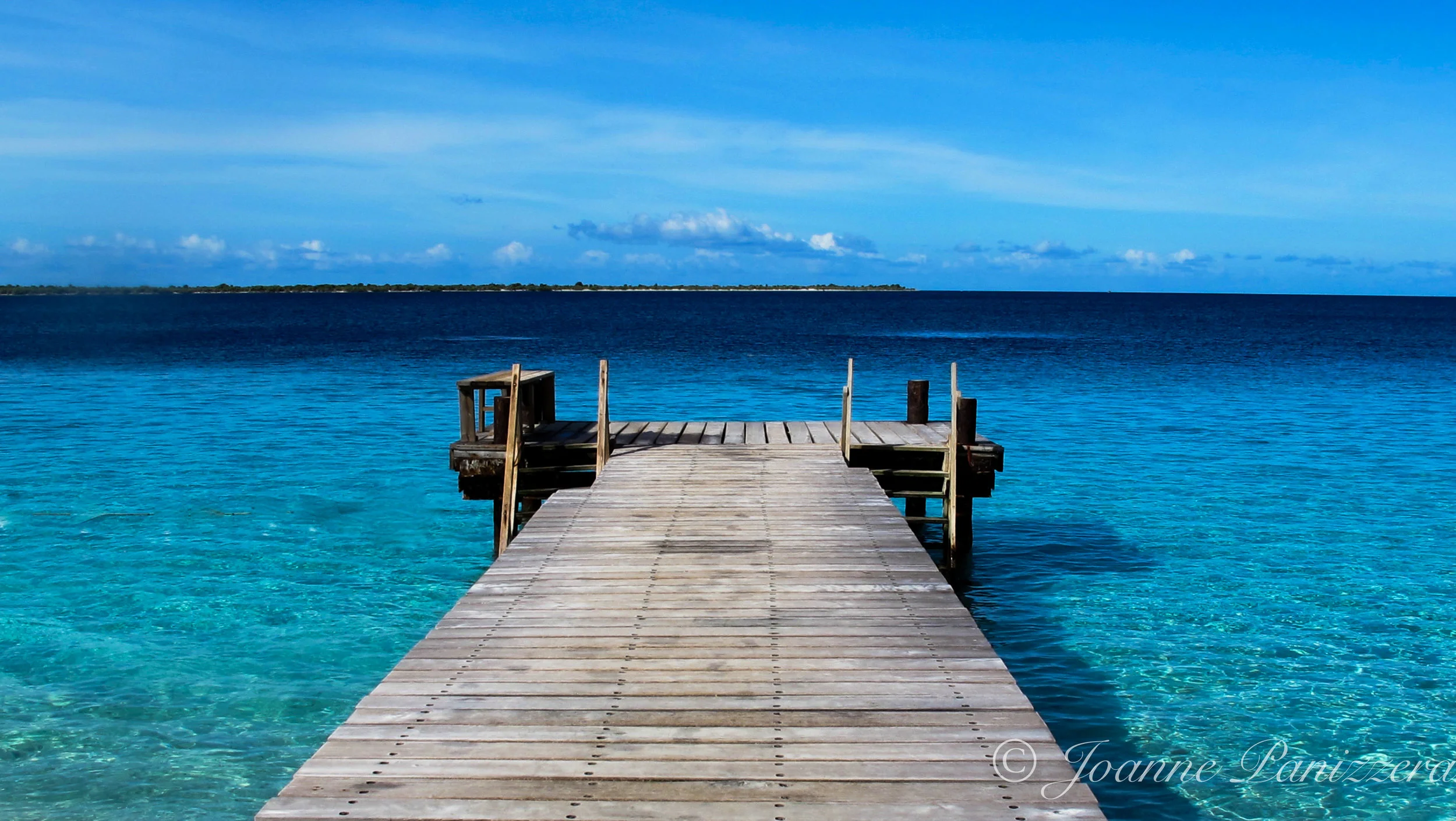 Baby Dock, Captain Don's Habitat