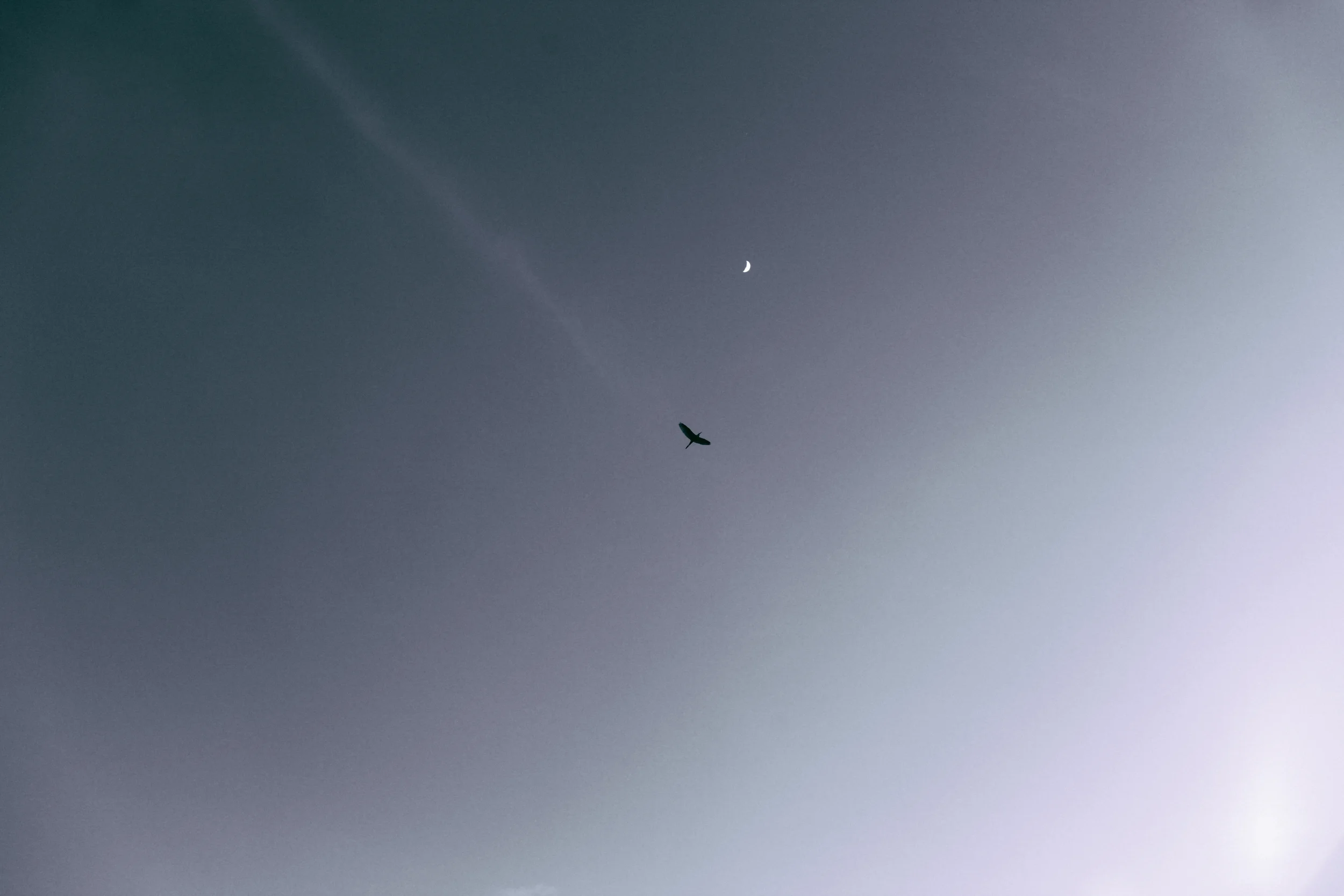 1-7379.jpg