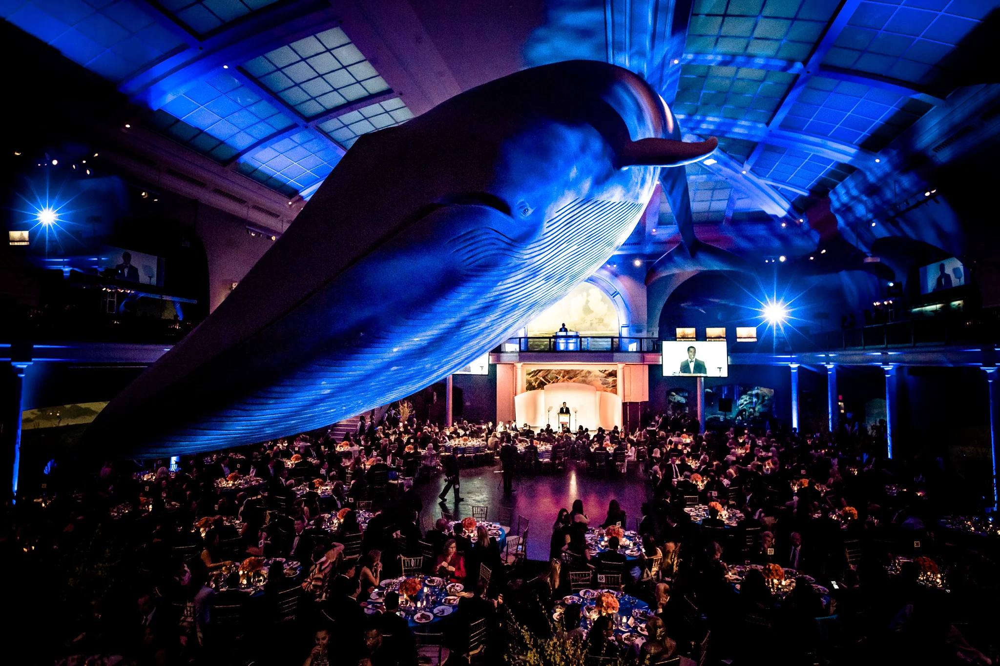 Gala_2016419.jpg