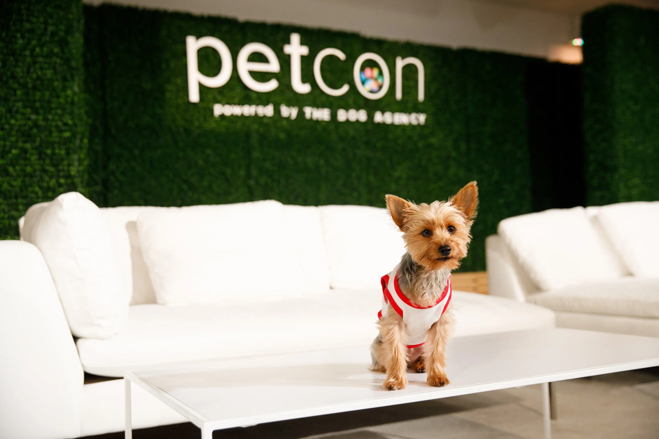 PetConphotosbyBoxofDreamsPhotography-815-1.jpg
