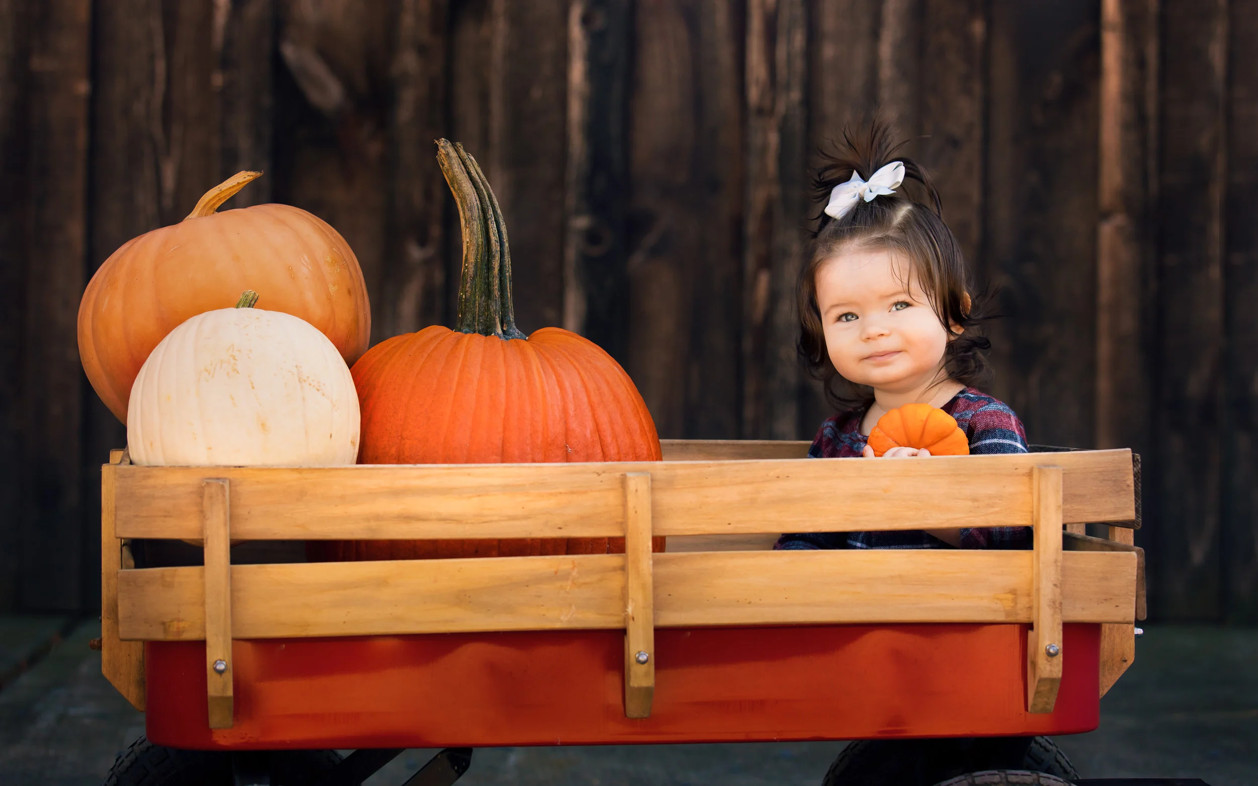 Family Photos by Box of Dreams Photography-002-1.JPG