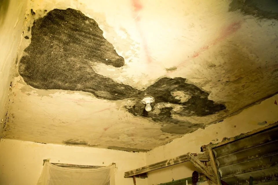 2020-01-23 23-41-35.jpeg