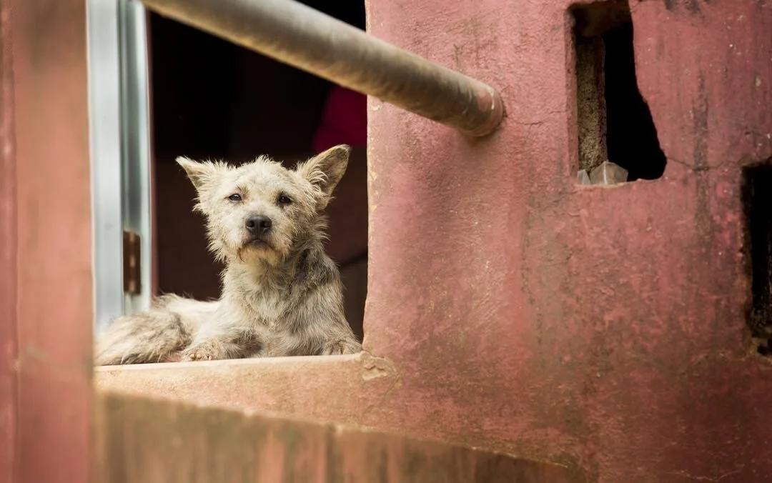 2020-01-23 23-42-06.jpeg