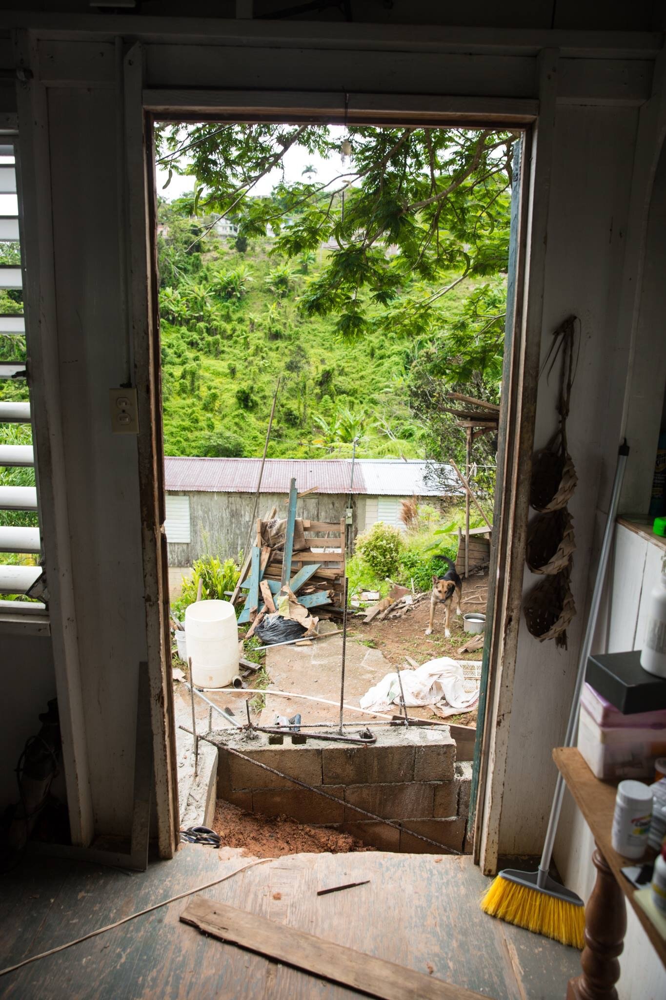 2020-01-23 23-44-17.jpeg