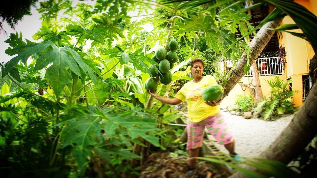 2020-01-23 23-45-31.jpeg