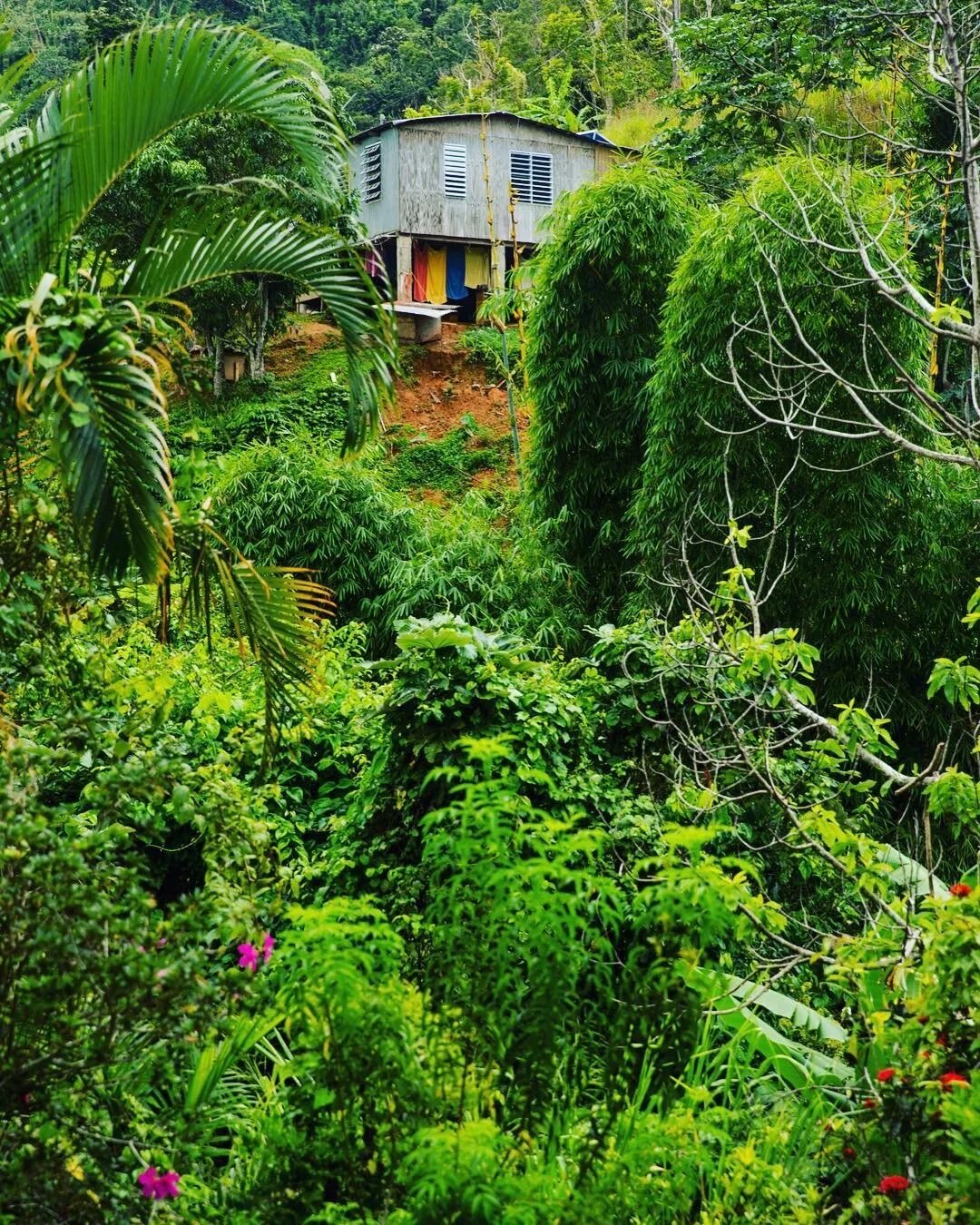 2020-01-23 23-45-34.jpeg