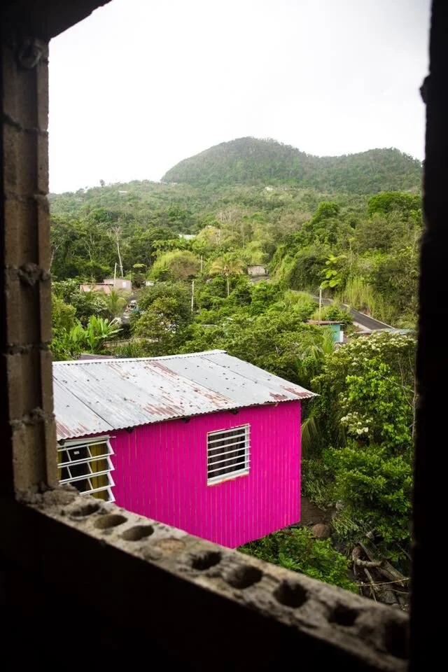 2020-01-23 23-47-13.jpeg