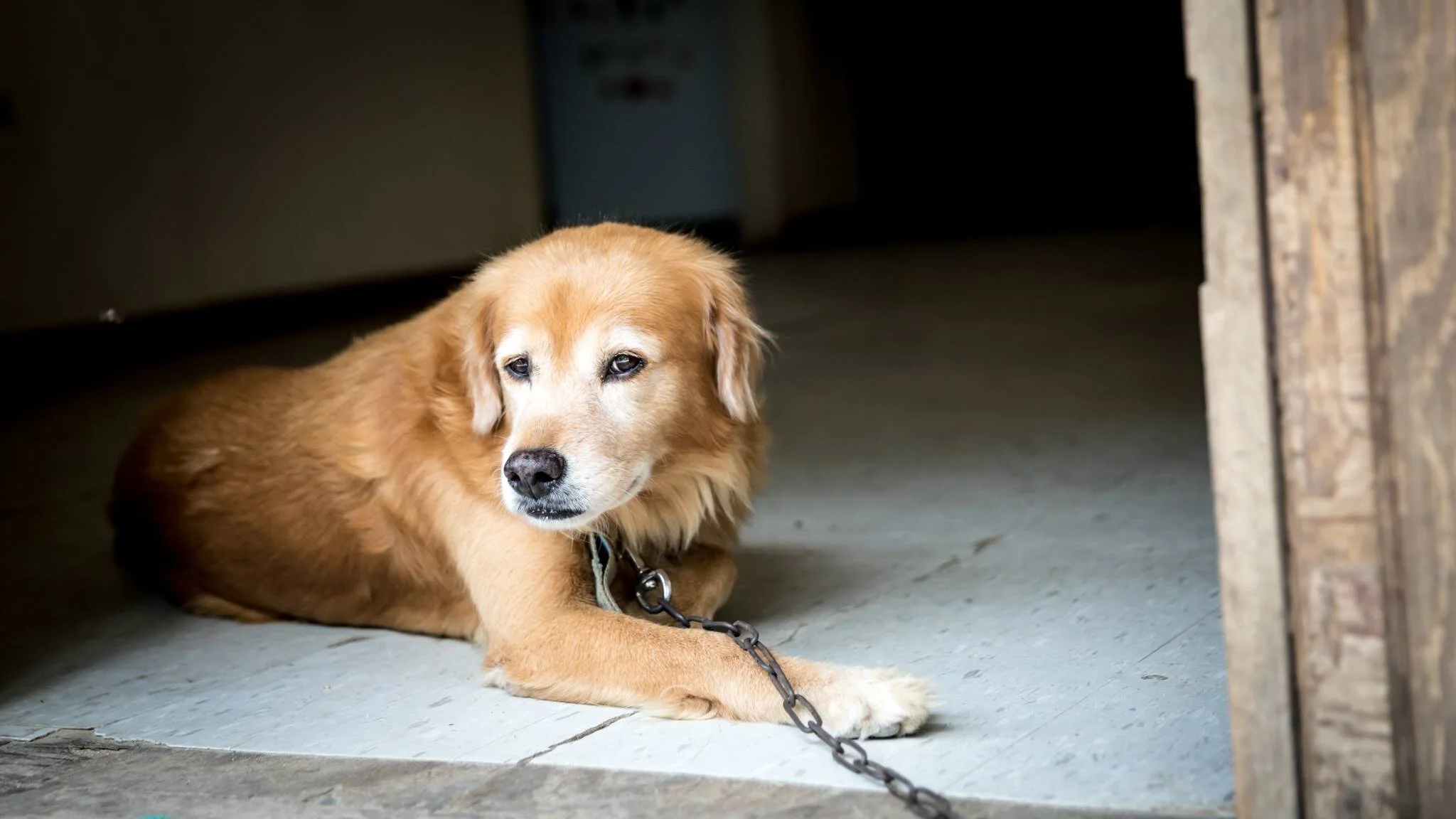 2020-01-23 23-50-40.jpeg