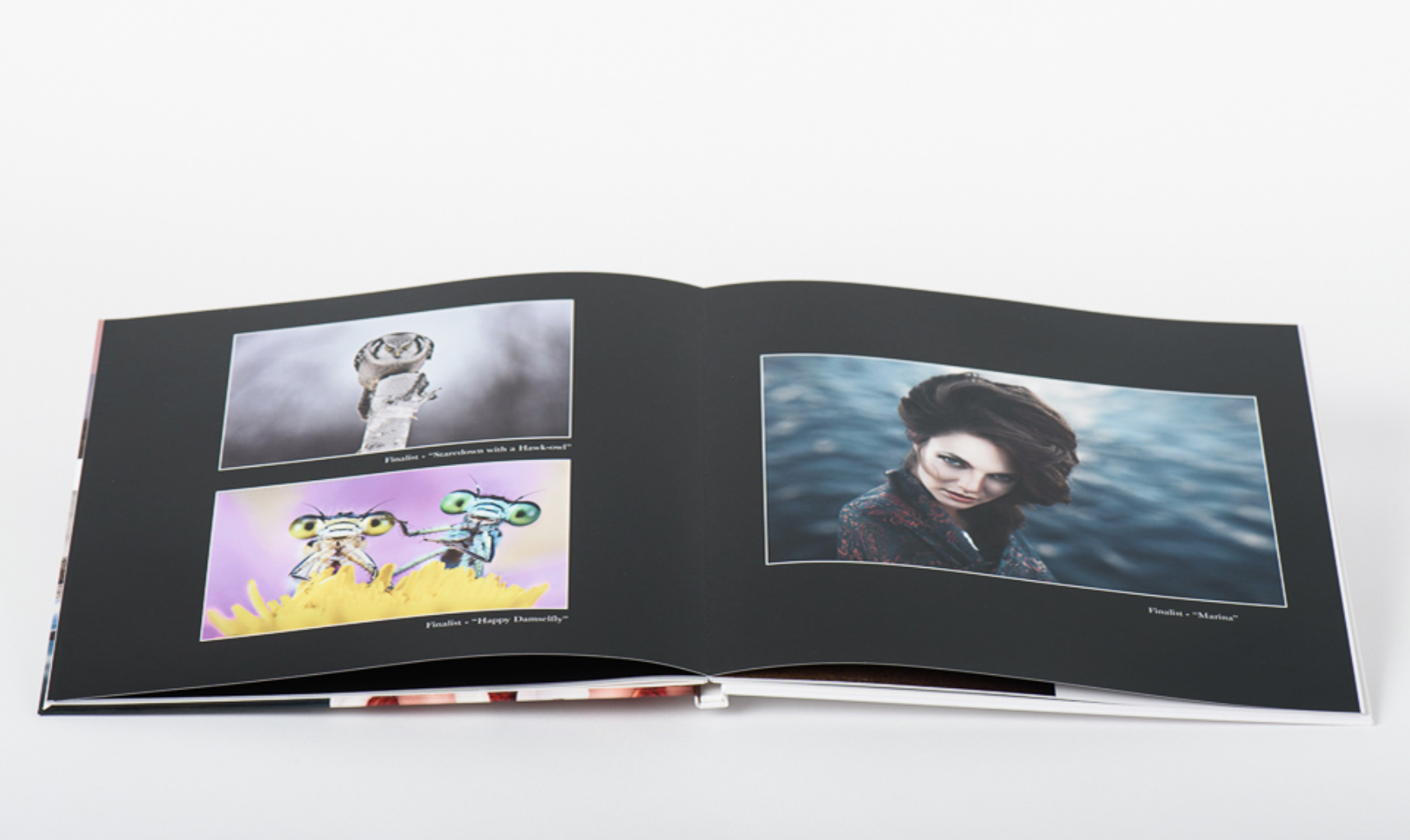 Screen Shot 2019-09-23 at 9.13.21 PM.png