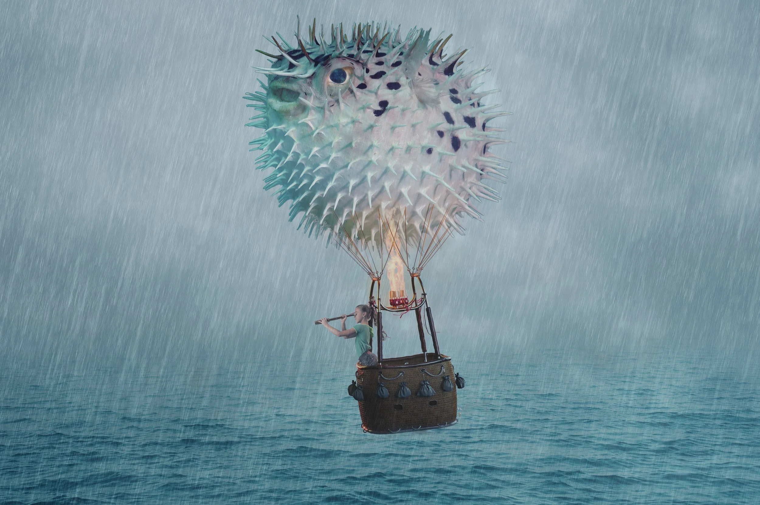 Puffer Balloon.jpg
