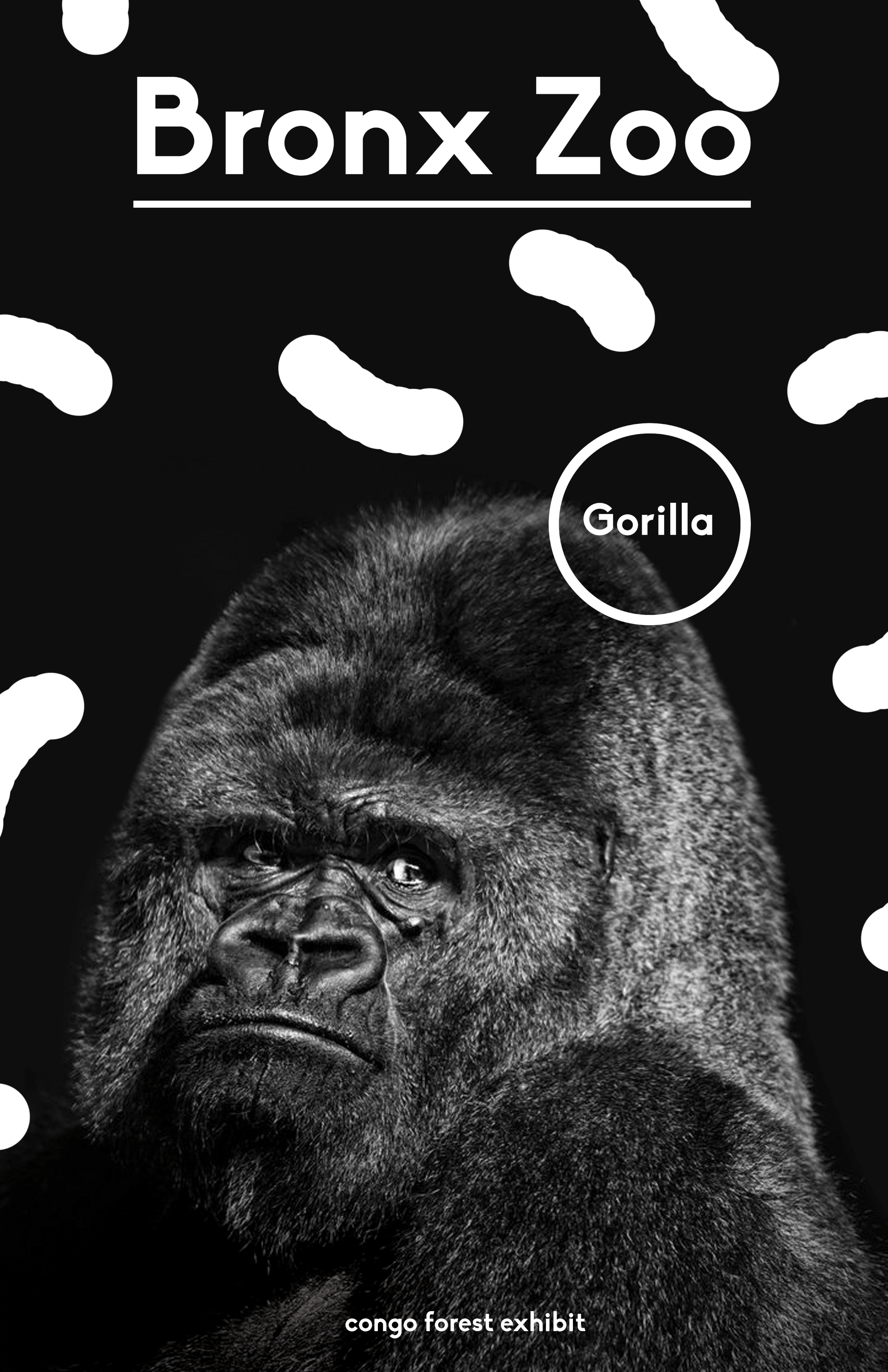 gorilla.gif