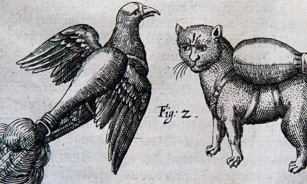 Rocket bird and cat with wings.jpg