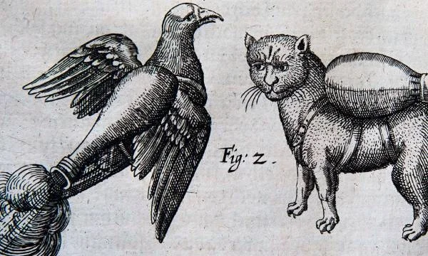 Rocket bird and cat with wings.jpg