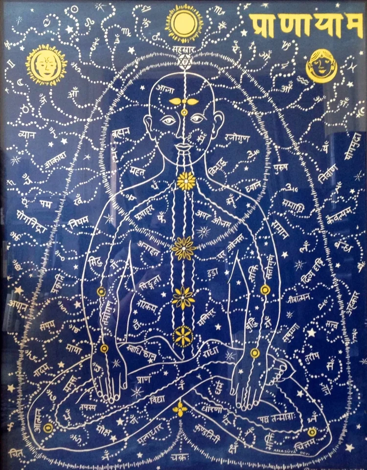 Dr. Mishra's Silkscreen (nadis).jpg