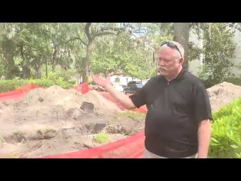 Century-old live oak tree to be removed from downtown Savannah