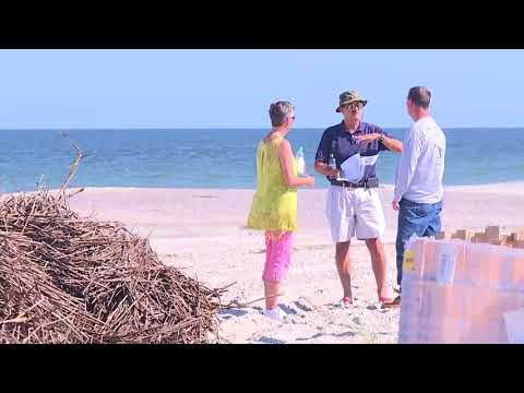 Tybee Island's sand dune restoration process underway, volunteers needed
