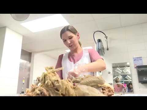 Statesboro volunteers prepare 3,000 Thanksgiving meals for families in need
