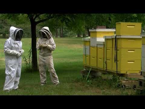 Legacy of Heyworth honey harvesters sparks education, awareness