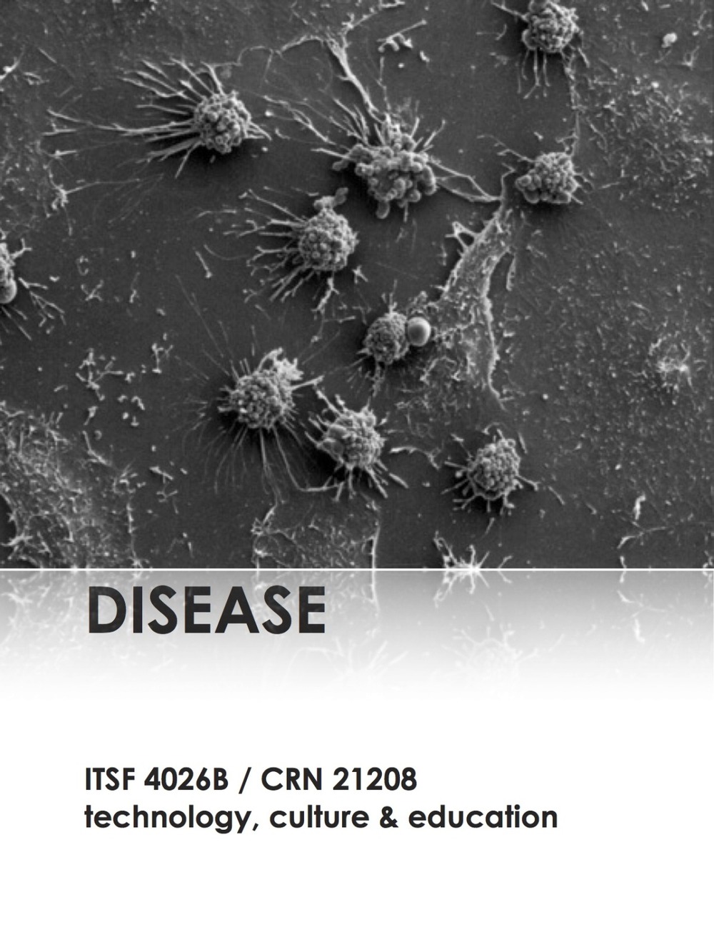 itsf 4026b flyers - disease.jpg