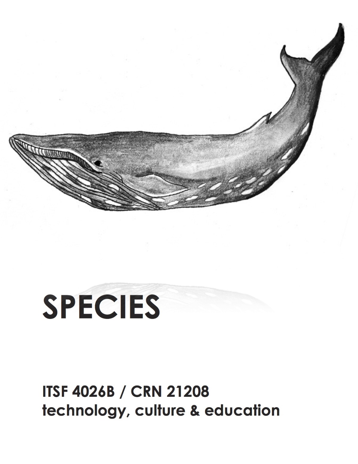 itsf 4026b flyers - species.jpg