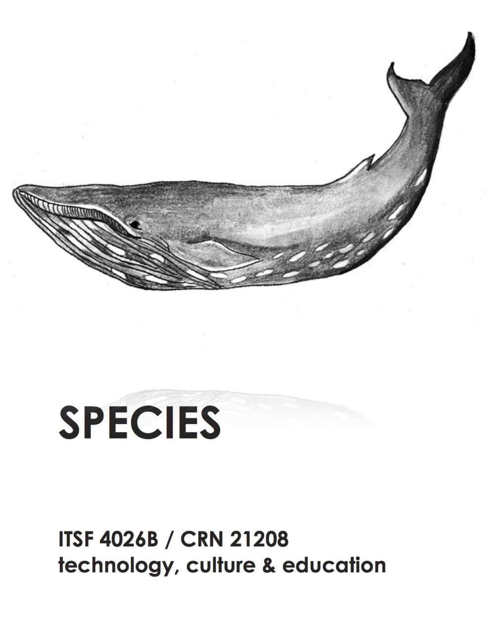 itsf 4026b flyers - species.jpg