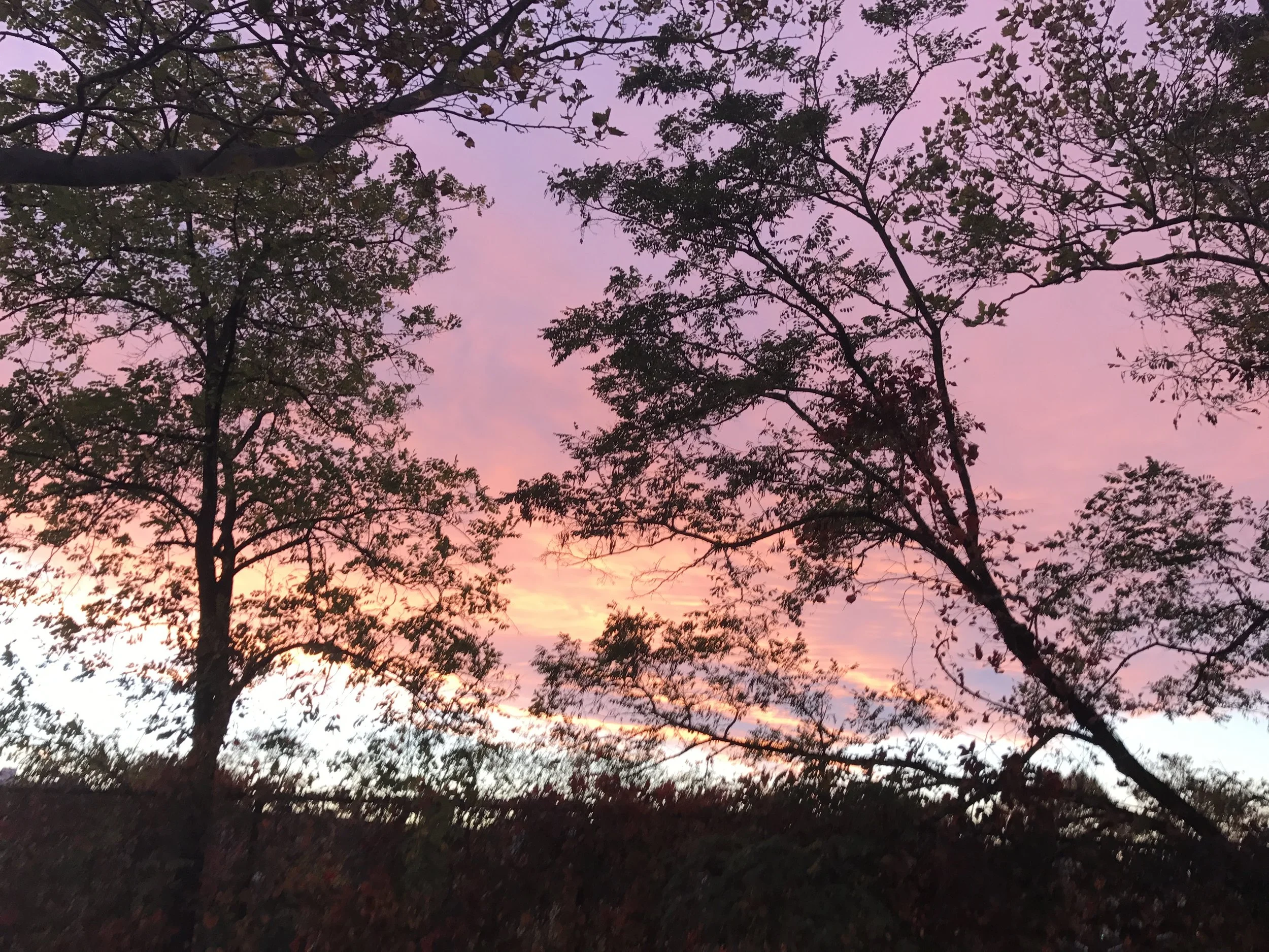 Aaron s Site aaron-s-site