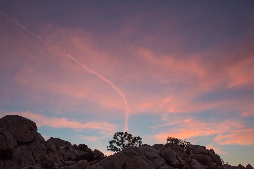 joshua_tree-14.jpg