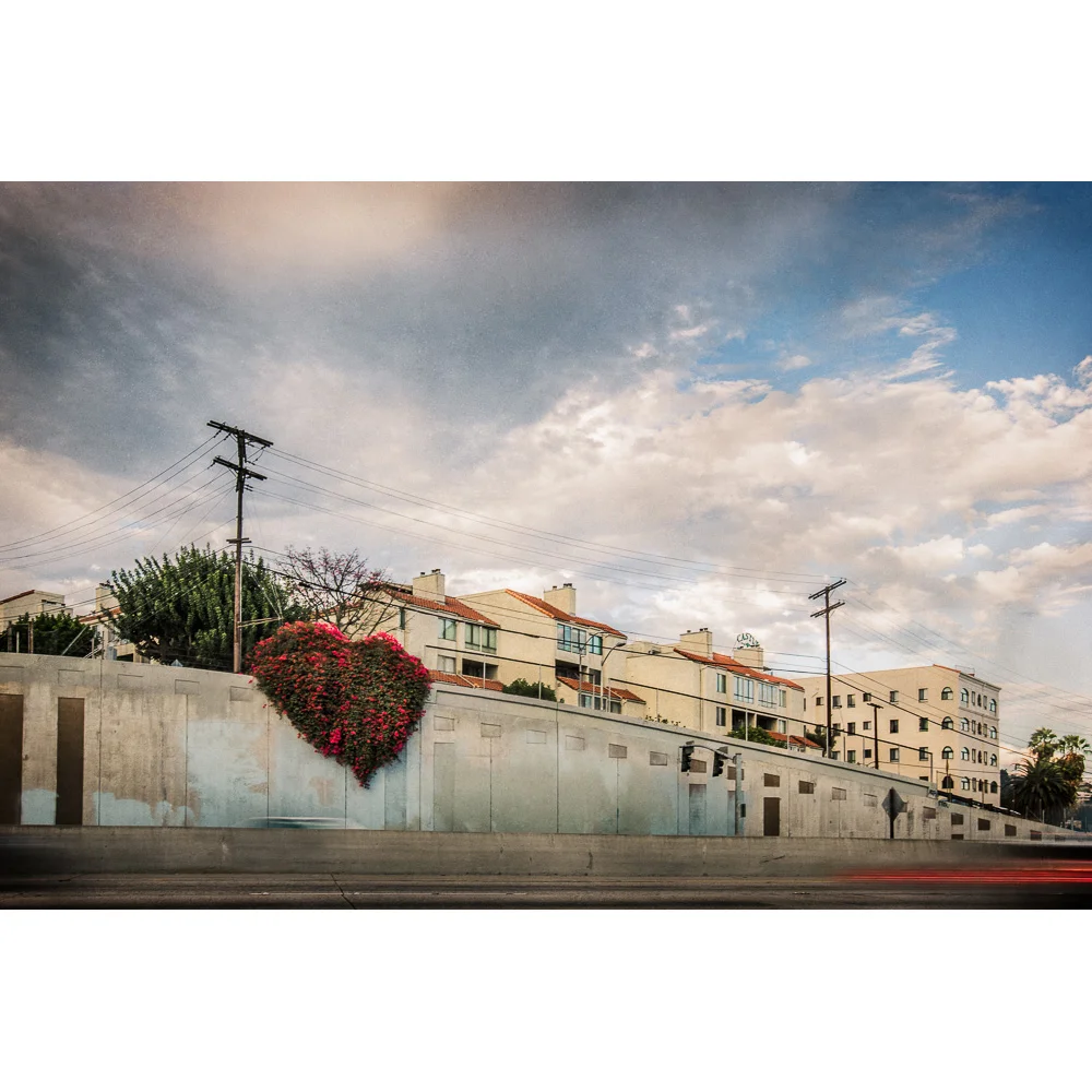 Love on the Hollywood Freeway